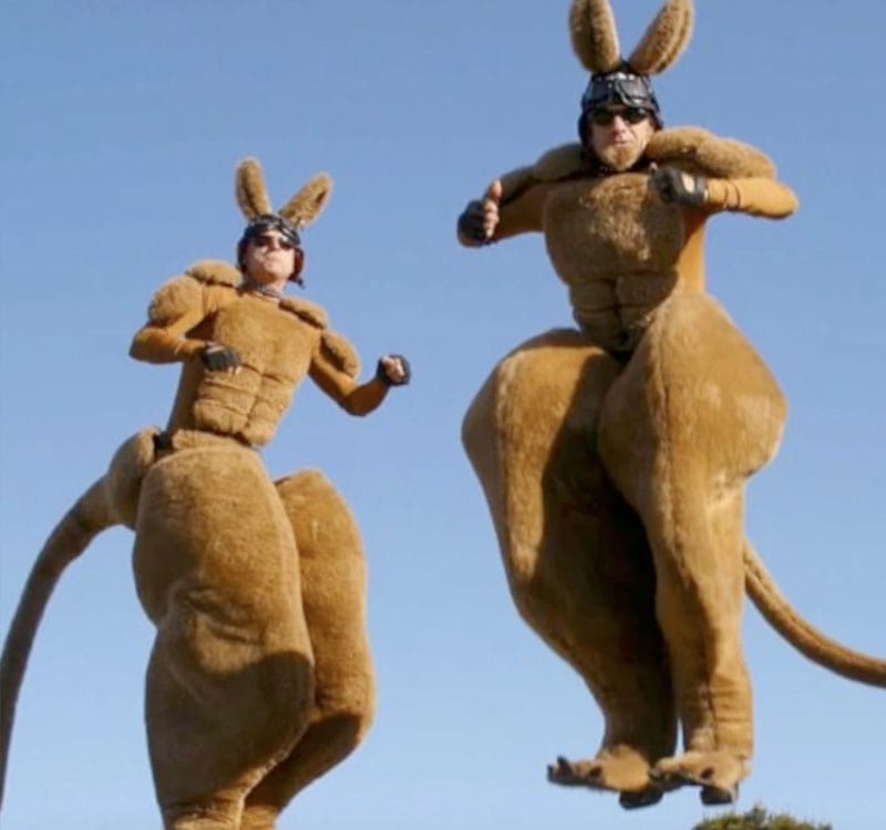 Jumping Kangaroos